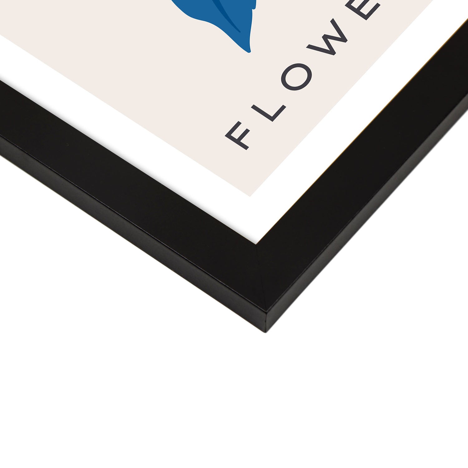 Carnation FLower Bud-Artwork-Nacnic-Nacnic Estudio SL