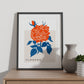 Carnation FLower Bud-Artwork-Nacnic-Nacnic Estudio SL