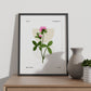 Chrysanthemum-Artwork-Nacnic-Nacnic Estudio SL