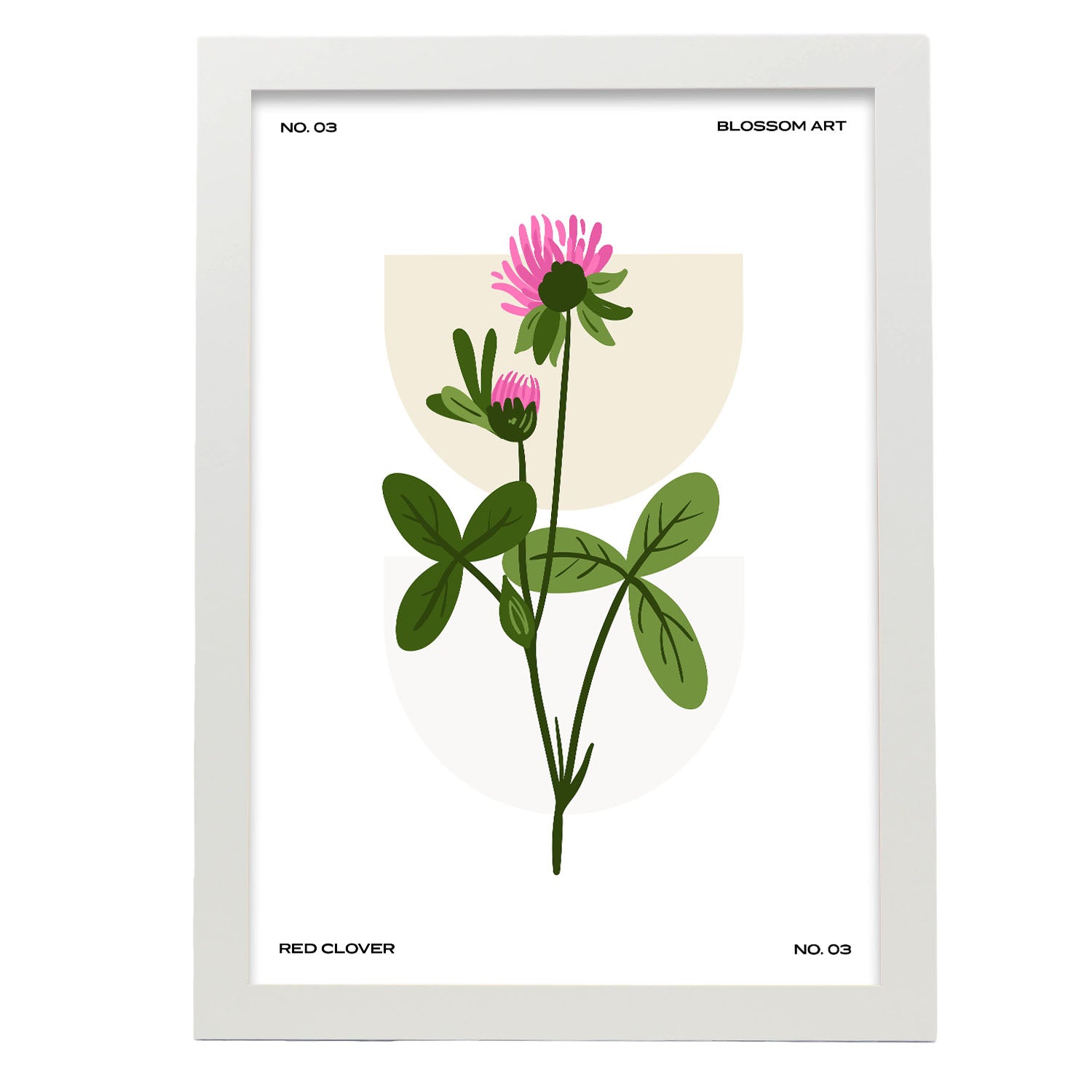 Chrysanthemum-Artwork-Nacnic-A3-Marco Blanco-Nacnic Estudio SL