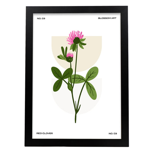 Chrysanthemum-Artwork-Nacnic-A3-Sin marco-Nacnic Estudio SL