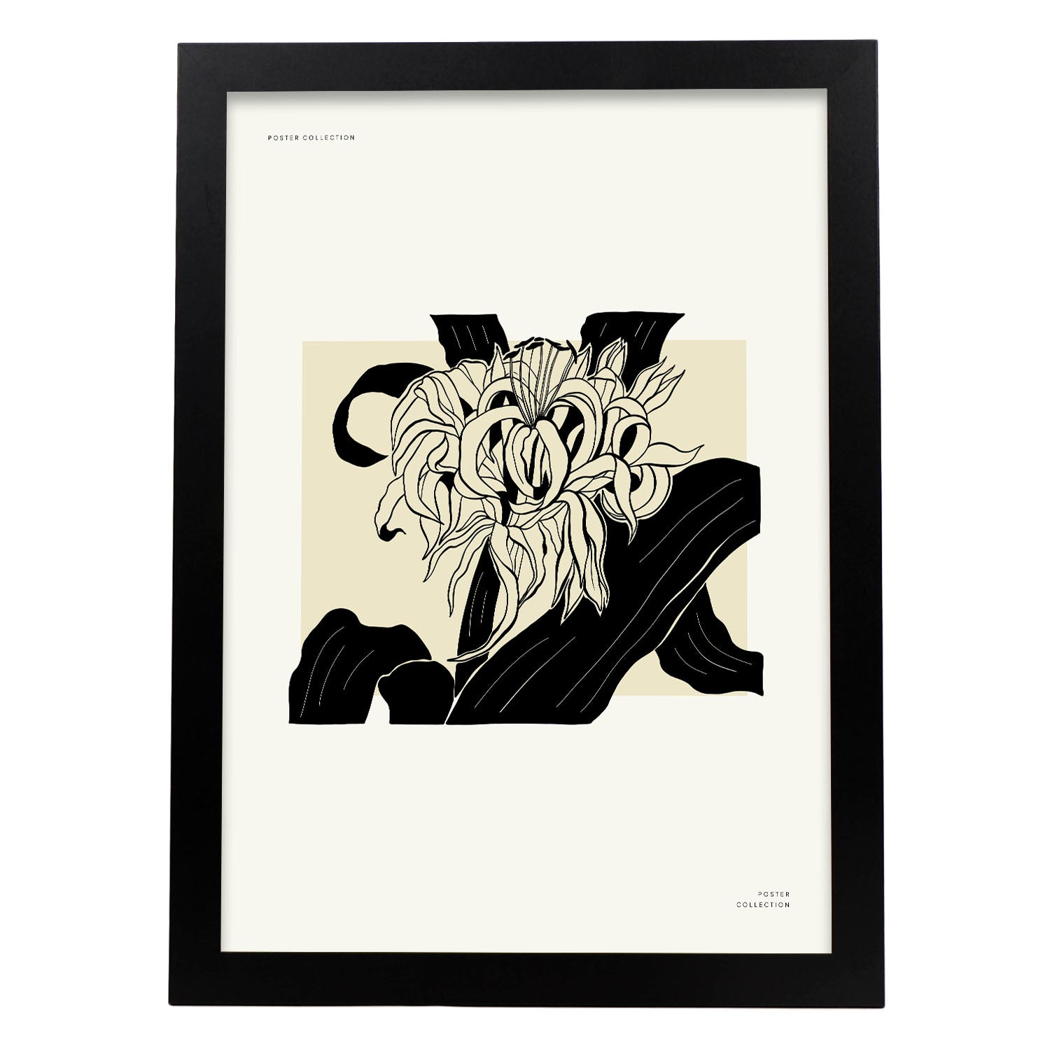Chrysanthemum-Artwork-Nacnic-A3-Sin marco-Nacnic Estudio SL
