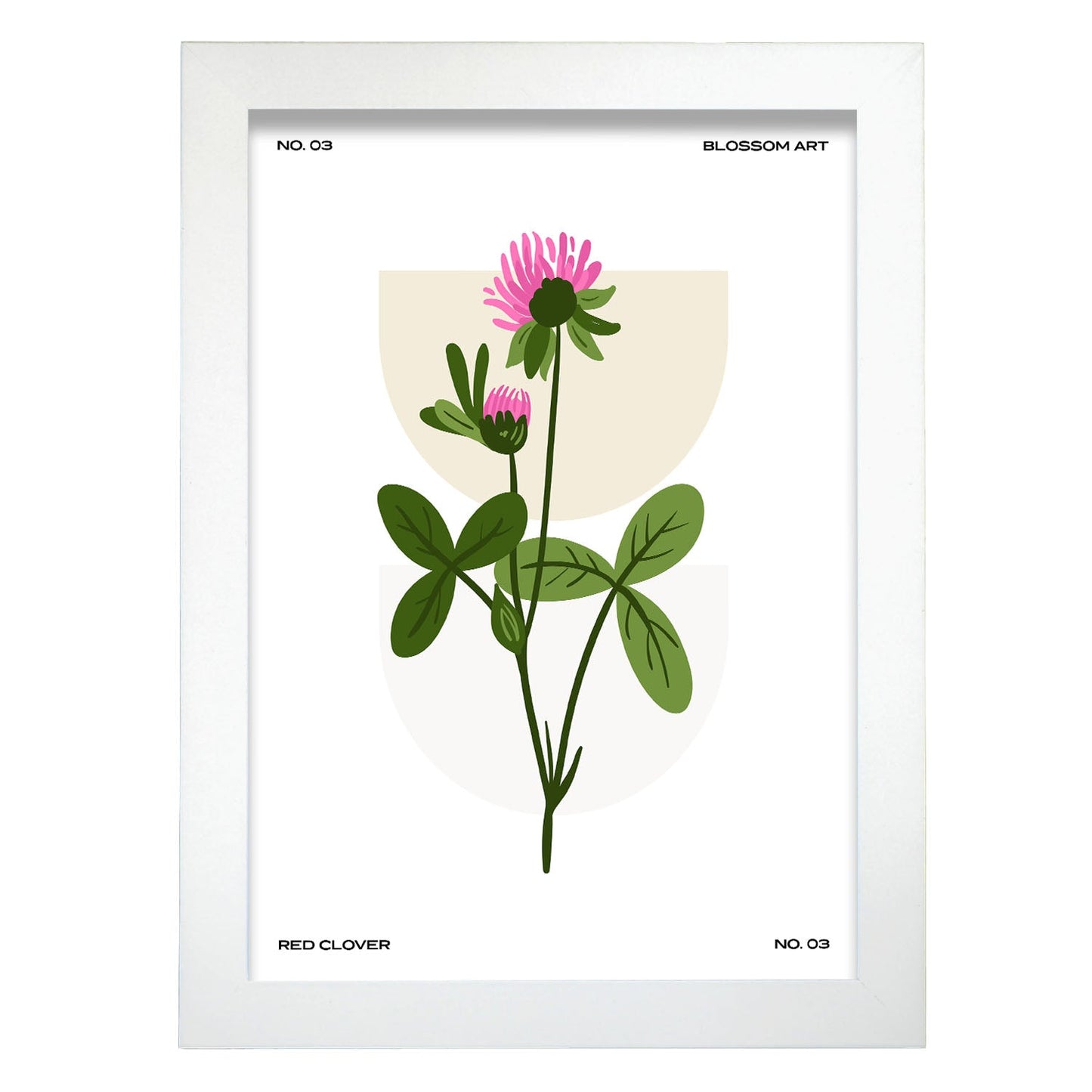 Chrysanthemum-Artwork-Nacnic-A4-Marco Blanco-Nacnic Estudio SL
