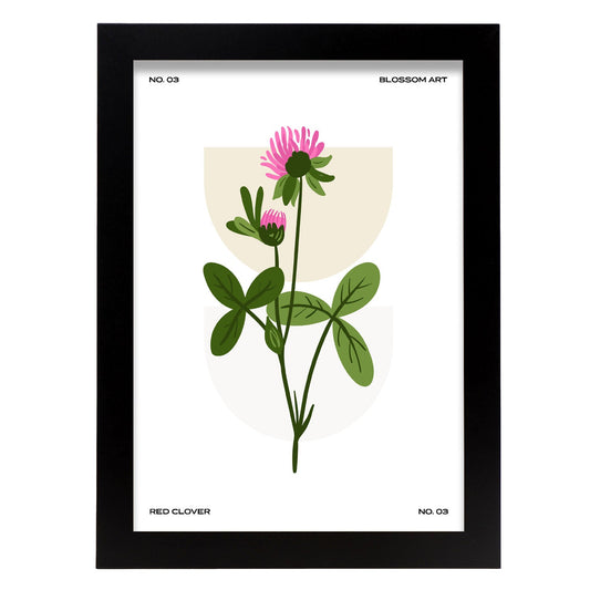 Chrysanthemum-Artwork-Nacnic-A4-Sin marco-Nacnic Estudio SL