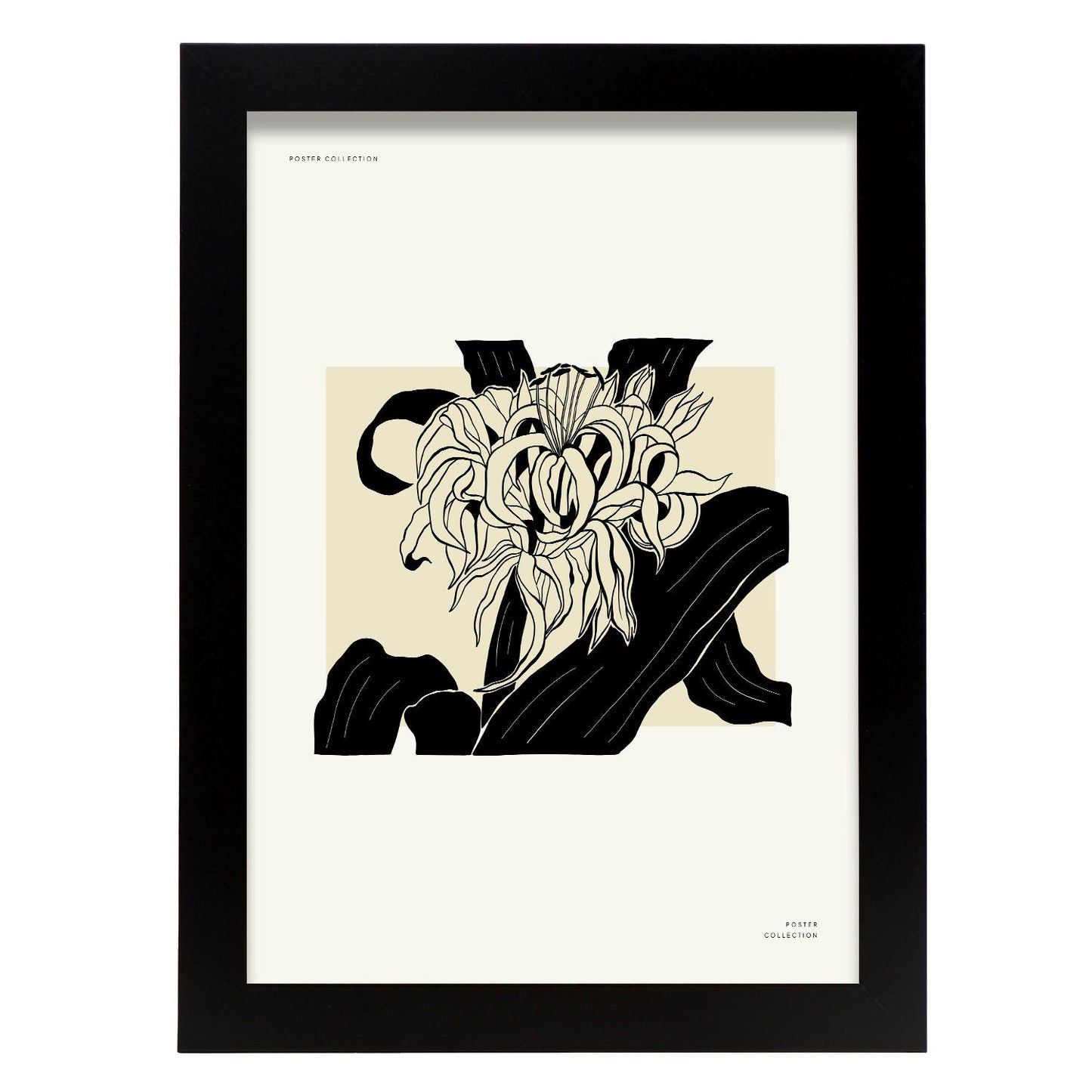 Chrysanthemum-Artwork-Nacnic-A4-Sin marco-Nacnic Estudio SL
