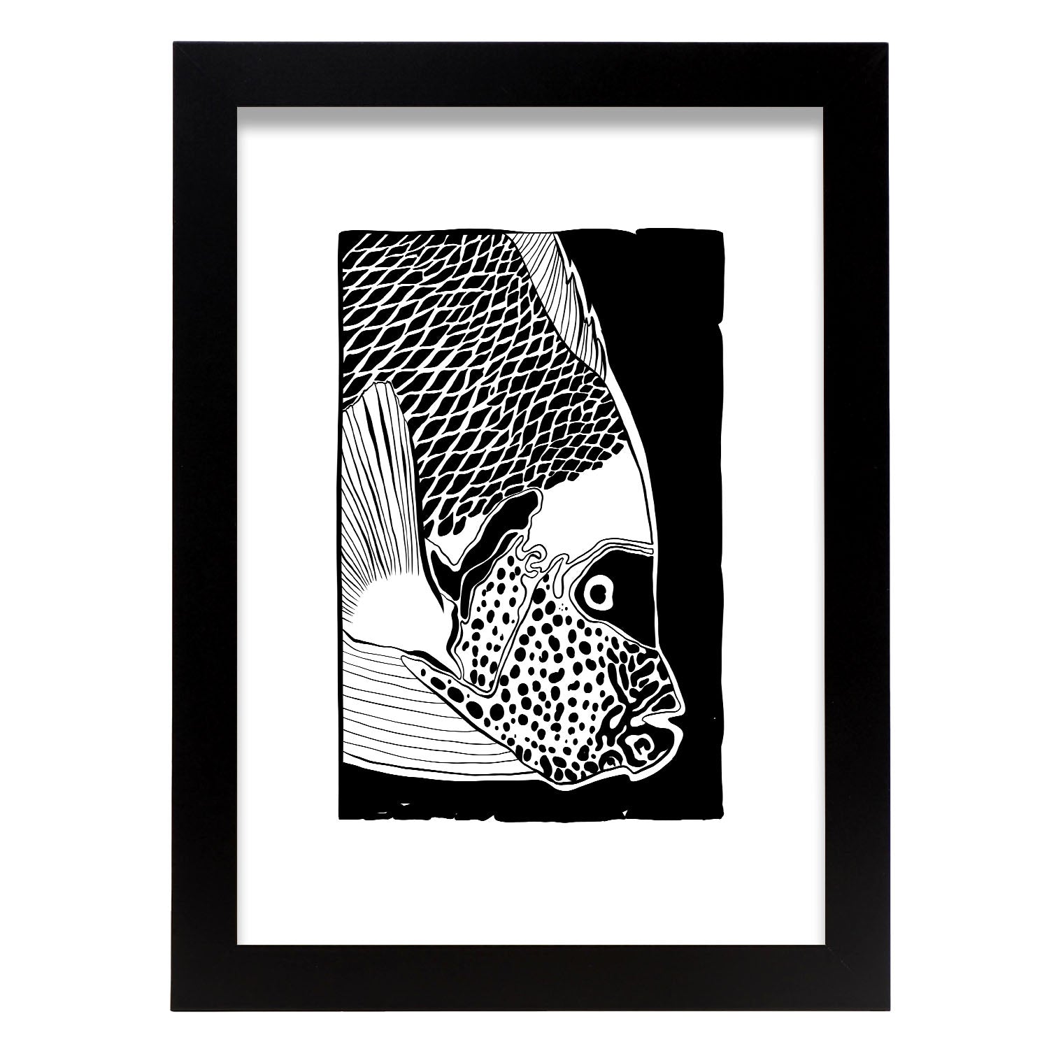 Closeup Parrot Fish-Artwork-Nacnic-A4-Sin marco-Nacnic Estudio SL