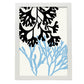 Codium Seaweed-Artwork-Nacnic-A3-Marco Blanco-Nacnic Estudio SL