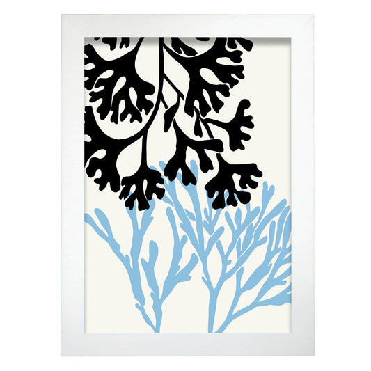 Codium Seaweed-Artwork-Nacnic-A4-Marco Blanco-Nacnic Estudio SL