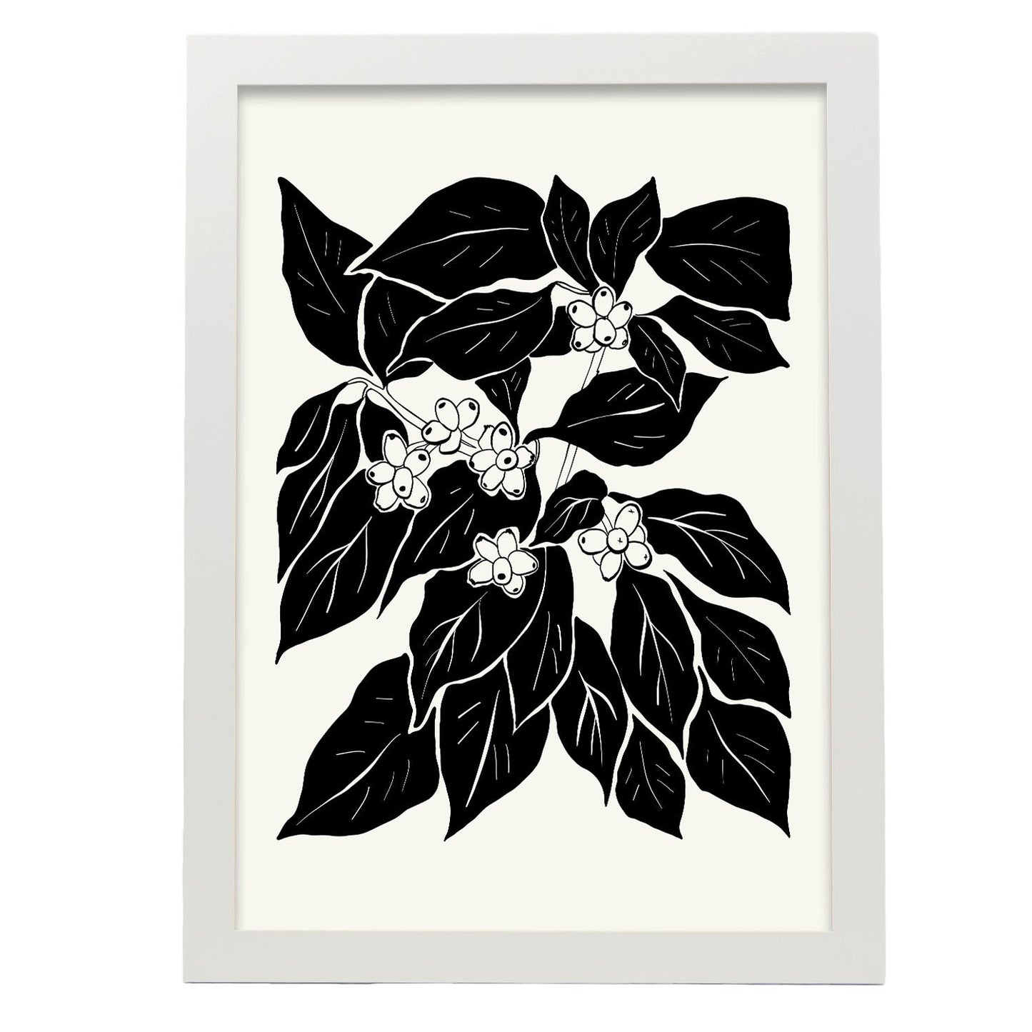 Coffee Plant-Artwork-Nacnic-A3-Marco Blanco-Nacnic Estudio SL