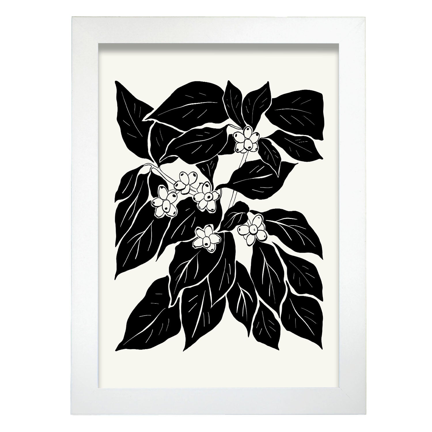 Coffee Plant-Artwork-Nacnic-A4-Marco Blanco-Nacnic Estudio SL