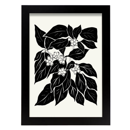 Coffee Plant-Artwork-Nacnic-A4-Sin marco-Nacnic Estudio SL