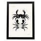 Crab-Artwork-Nacnic-A3-Sin marco-Nacnic Estudio SL