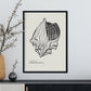 Crown conch-Artwork-Nacnic-Nacnic Estudio SL