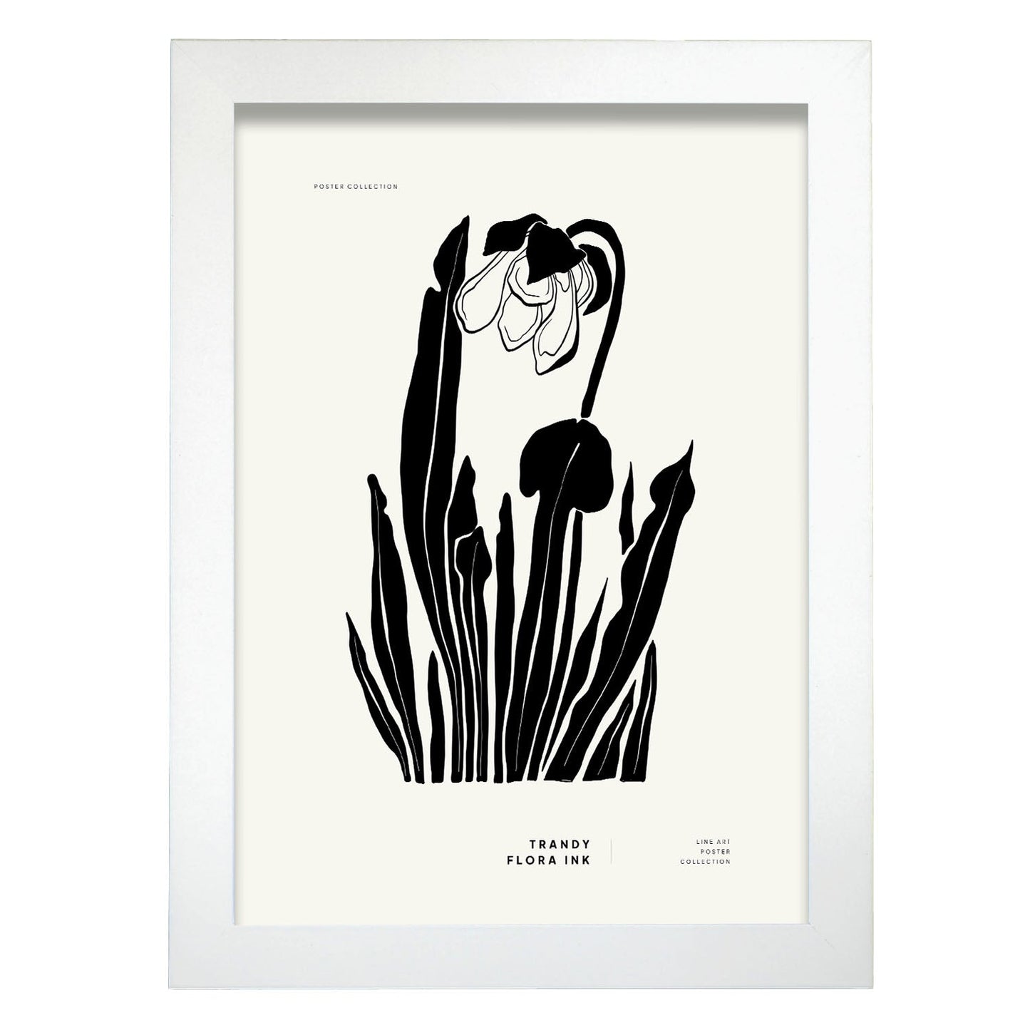 Daffodil-Artwork-Nacnic-A4-Marco Blanco-Nacnic Estudio SL