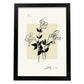 Datura-Artwork-Nacnic-A3-Sin marco-Nacnic Estudio SL