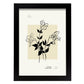 Datura-Artwork-Nacnic-A4-Sin marco-Nacnic Estudio SL