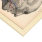Dissection of face and neck-Artwork-Nacnic-Nacnic Estudio SL