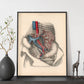 Dissection of the abdomen-Artwork-Nacnic-Nacnic Estudio SL