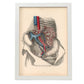 Dissection of the abdomen-Artwork-Nacnic-A3-Marco Blanco-Nacnic Estudio SL