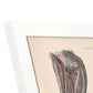 Dissection of the arm and hand-Artwork-Nacnic-Nacnic Estudio SL