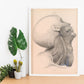 Dissection of the face and neck-Artwork-Nacnic-Nacnic Estudio SL
