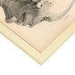 Dissection of the face and neck-Artwork-Nacnic-Nacnic Estudio SL