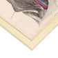 Dissection of the groin-Artwork-Nacnic-Nacnic Estudio SL