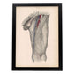 Dissection of the groin Deep dissection of femoral triangle-Artwork-Nacnic-A3-Sin marco-Nacnic Estudio SL