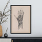 Dissection of the hand-Artwork-Nacnic-Nacnic Estudio SL