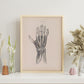 Dissection of the hand-Artwork-Nacnic-Nacnic Estudio SL