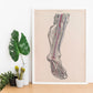 Dissection of the lower leg and foot-Artwork-Nacnic-Nacnic Estudio SL