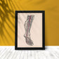Dissection of the lower leg and foot-Artwork-Nacnic-Nacnic Estudio SL