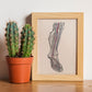 Dissection of the lower leg and foot-Artwork-Nacnic-Nacnic Estudio SL