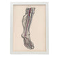 Dissection of the lower leg and foot-Artwork-Nacnic-A3-Marco Blanco-Nacnic Estudio SL