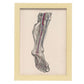Dissection of the lower leg and foot-Artwork-Nacnic-A4-Marco Madera clara-Nacnic Estudio SL