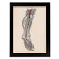 Dissection of the lower leg and foot-Artwork-Nacnic-A4-Sin marco-Nacnic Estudio SL