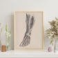 Dissection of the lower leg-Artwork-Nacnic-Nacnic Estudio SL