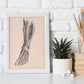 Dissection of the lower leg-Artwork-Nacnic-Nacnic Estudio SL