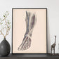 Dissection of the lower leg-Artwork-Nacnic-Nacnic Estudio SL