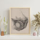 Dissection of the pelvis, urogenital system, male-Artwork-Nacnic-Nacnic Estudio SL