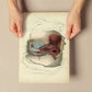 Dissection of the perineum, female-Artwork-Nacnic-Nacnic Estudio SL