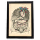 Dissection of the thorax and abdomen-Artwork-Nacnic-A3-Sin marco-Nacnic Estudio SL