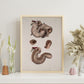 Duodenum-Artwork-Nacnic-Nacnic Estudio SL