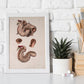 Duodenum-Artwork-Nacnic-Nacnic Estudio SL