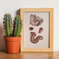 Duodenum-Artwork-Nacnic-Nacnic Estudio SL