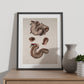 Duodenum-Artwork-Nacnic-Nacnic Estudio SL