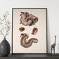 Duodenum-Artwork-Nacnic-Nacnic Estudio SL