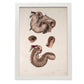 Duodenum-Artwork-Nacnic-A3-Marco Blanco-Nacnic Estudio SL