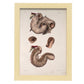 Duodenum-Artwork-Nacnic-A4-Marco Madera clara-Nacnic Estudio SL
