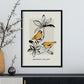 Early bird-Artwork-Nacnic-Nacnic Estudio SL
